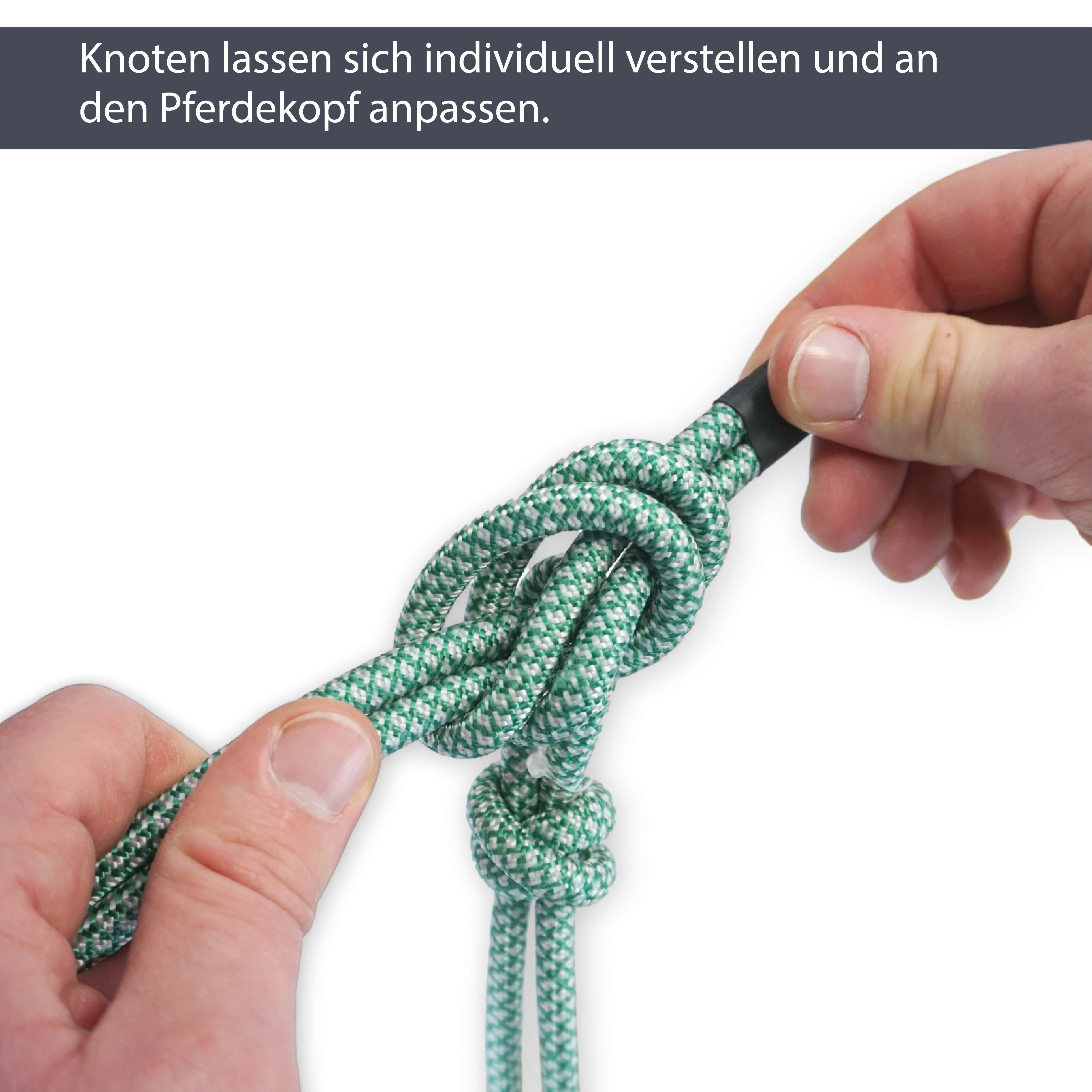 Knotenhalfter für Bodenarbeit, Trainingshalfter